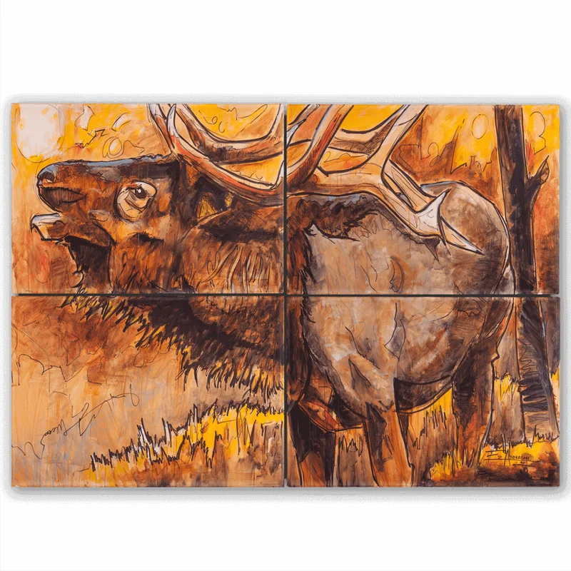 coloradoretailcollection-1967796