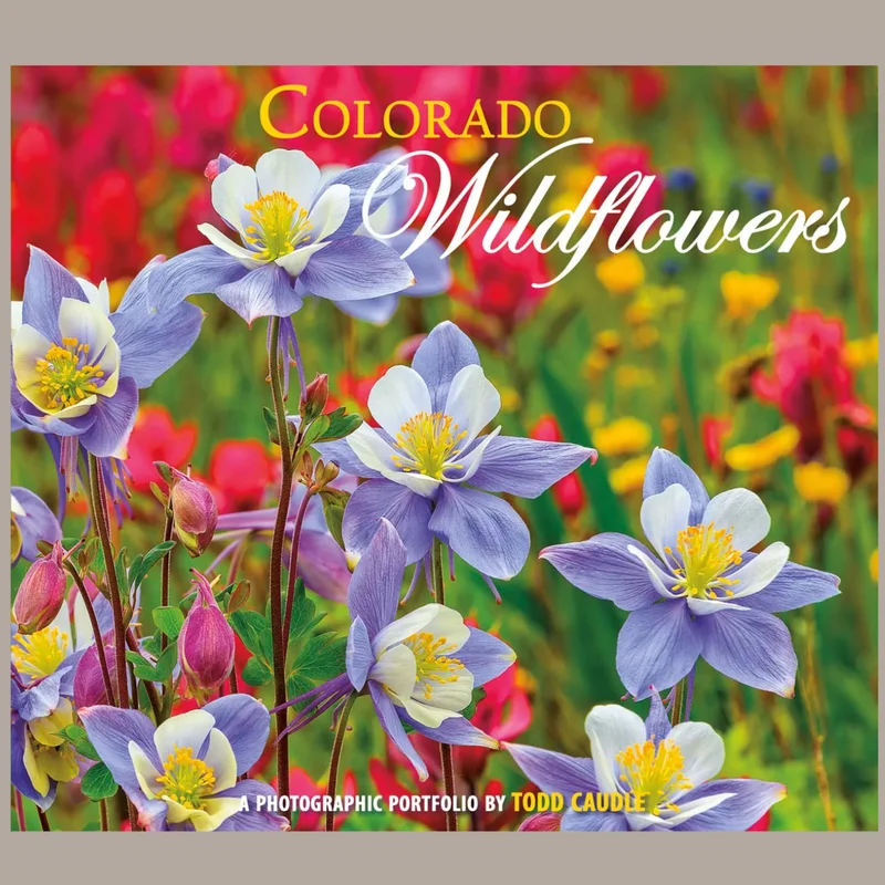 coloradoretailcollection-1970490