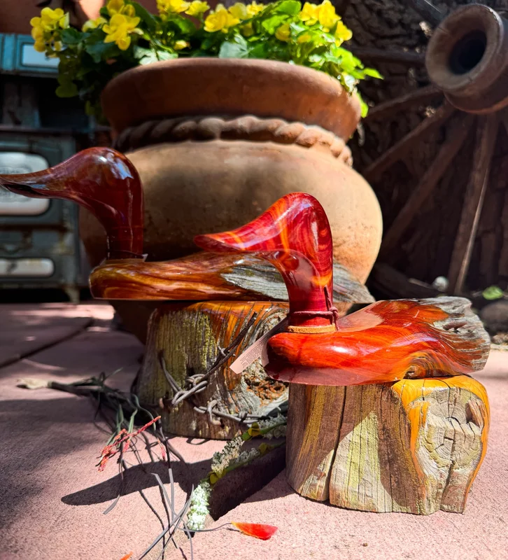 coloradoretailcollection-1975457