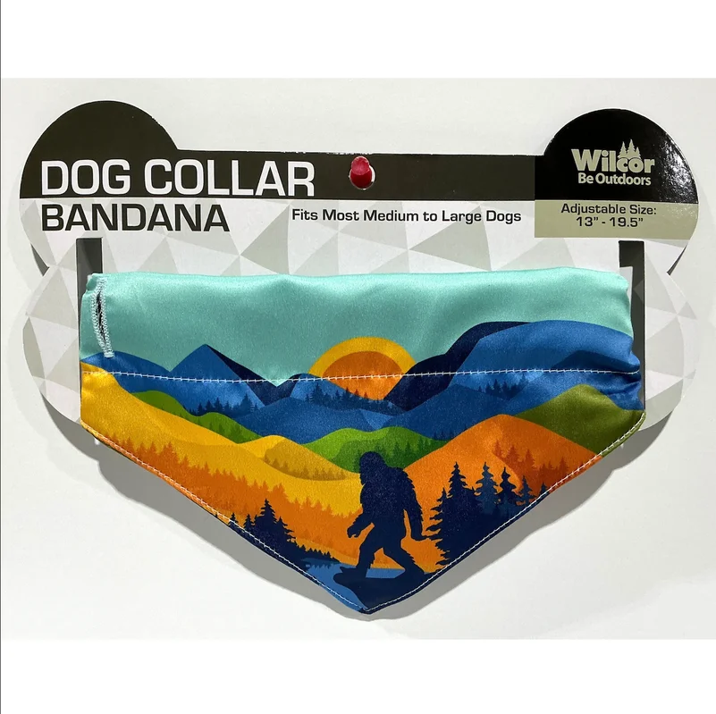 coloradoretailcollection-1984835