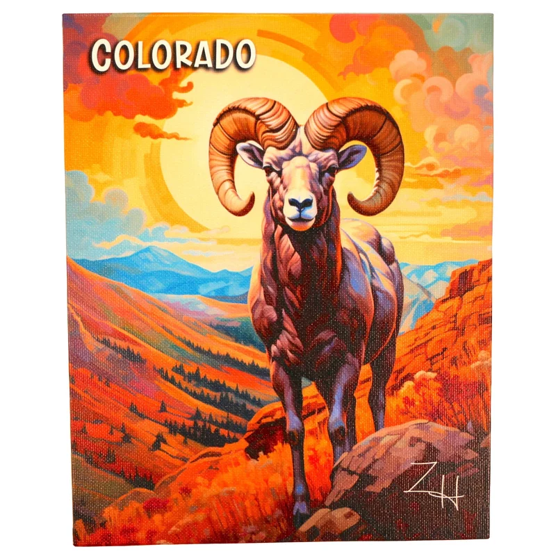coloradoretailcollection-1985668