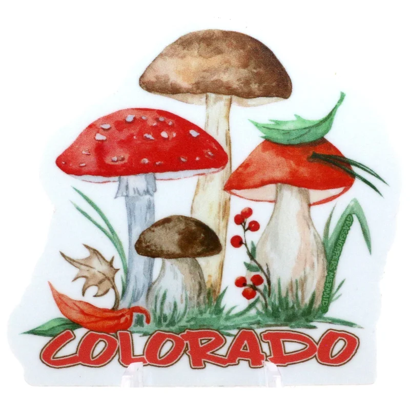 coloradoretailcollection-1989232