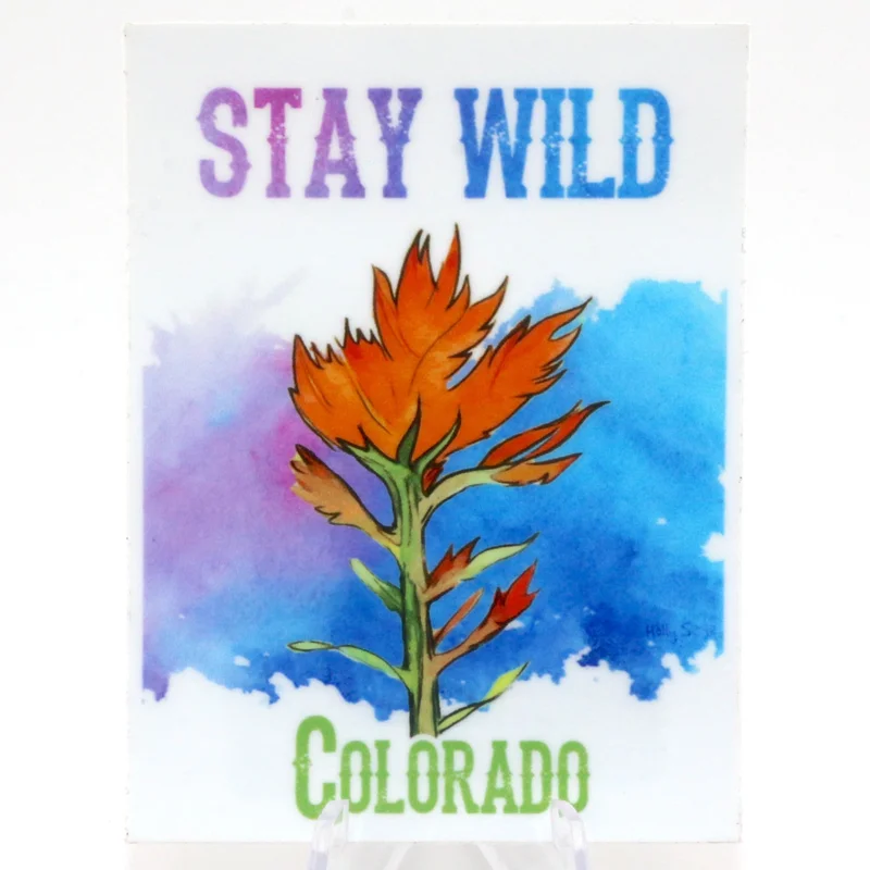 coloradoretailcollection-1989436