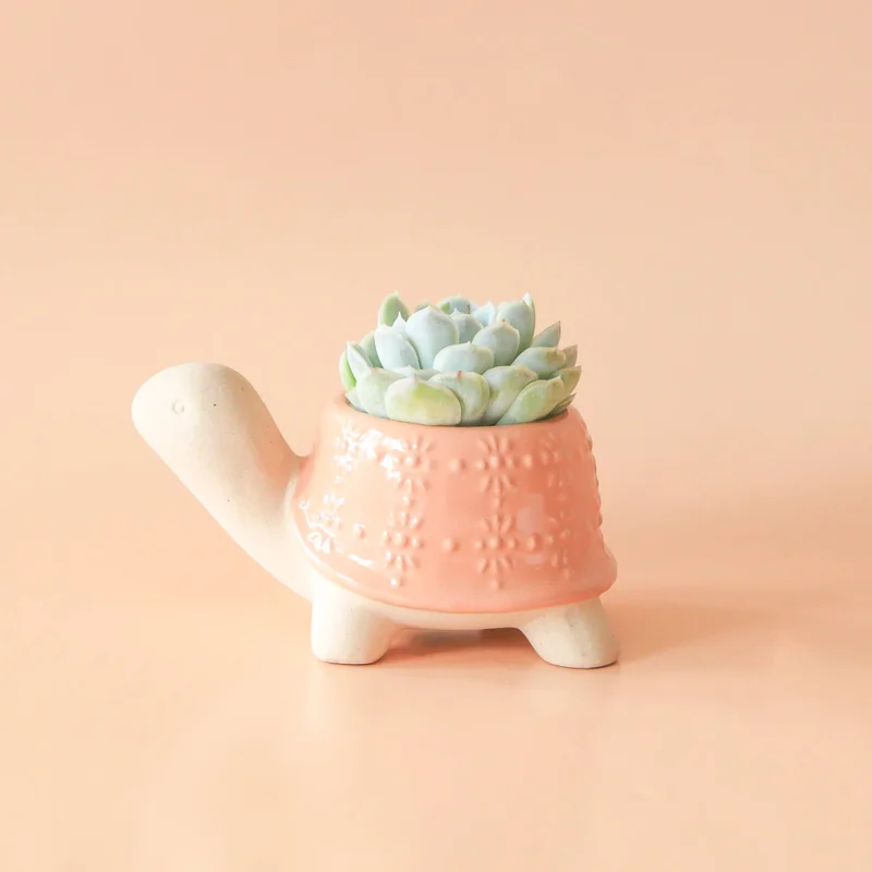 dearjohnshop1952994