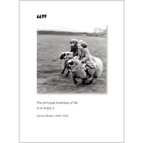 jennyk-1967054