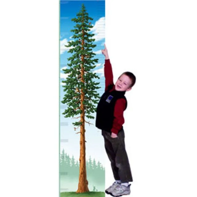 pacificnorthwestshop-1955058