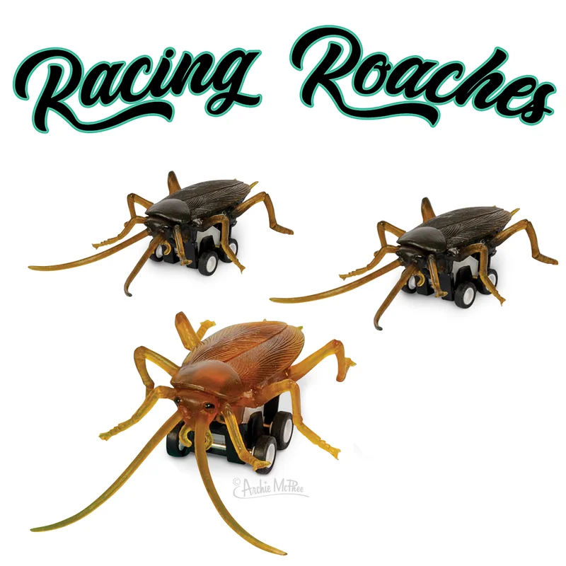 shoptherocket11944038