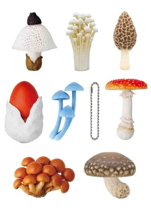 shoptherocket11946308