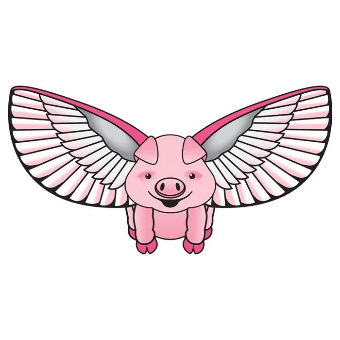 shoptherocket11948277