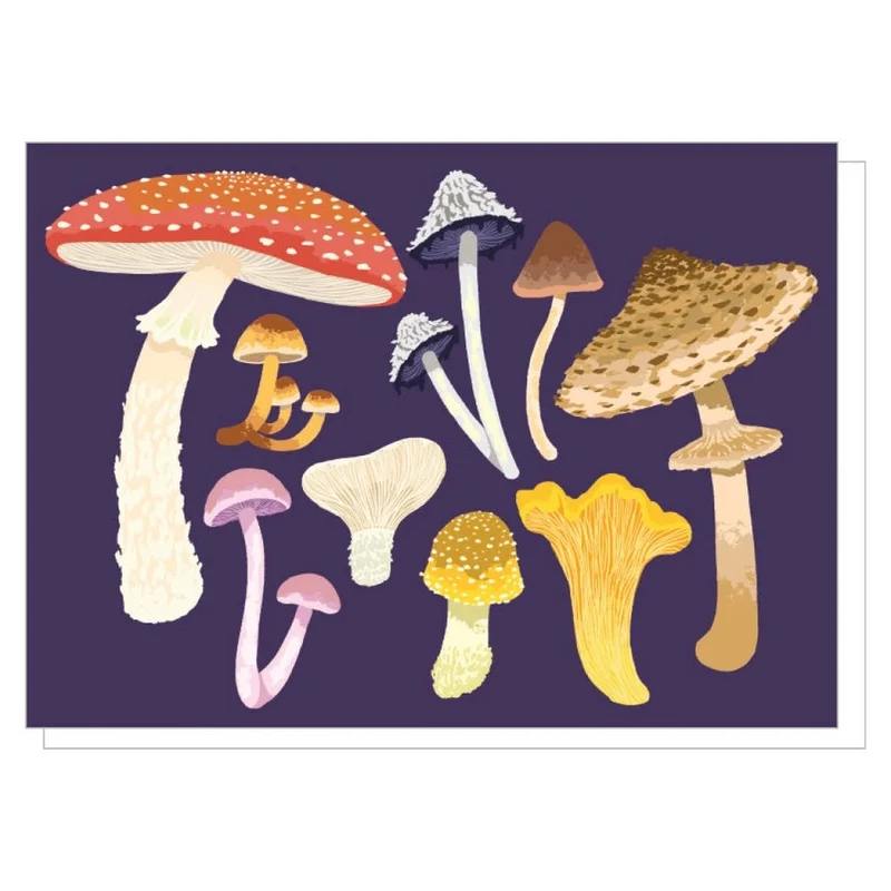 shoptherocket21967412