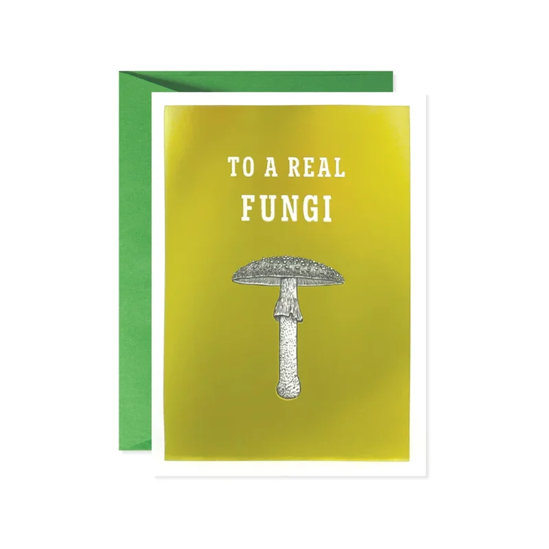 urbangeneralstore12046145