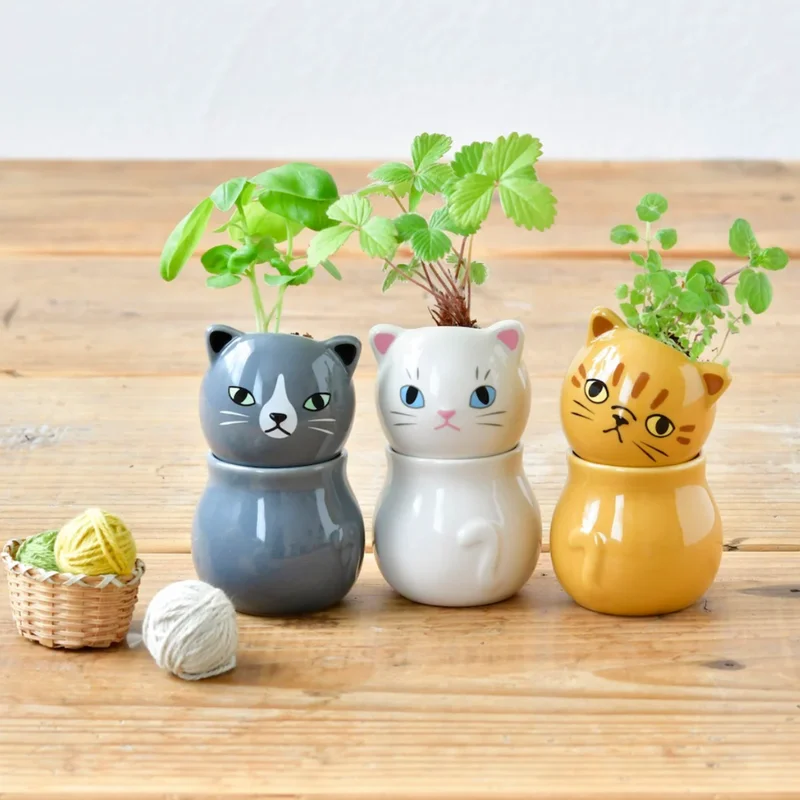 urbangeneralstore12175147