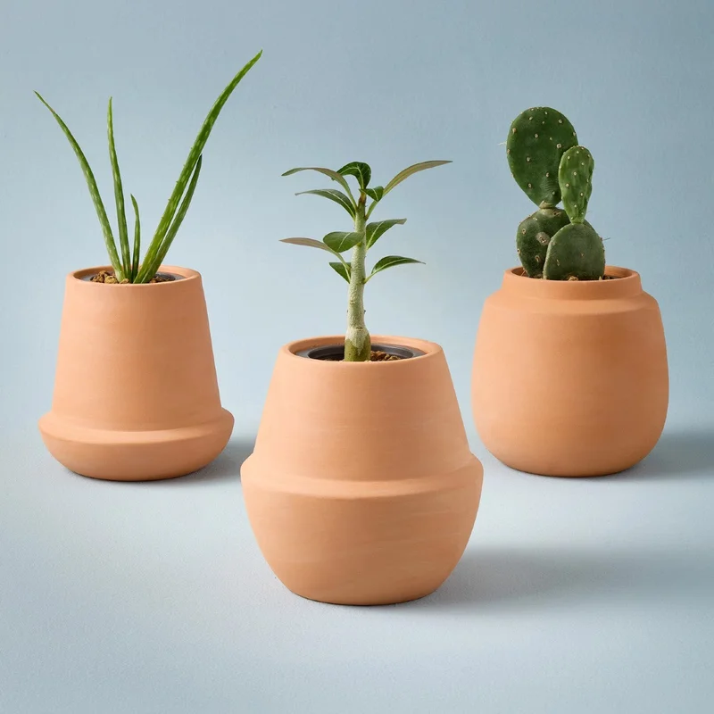urbangeneralstore22002308